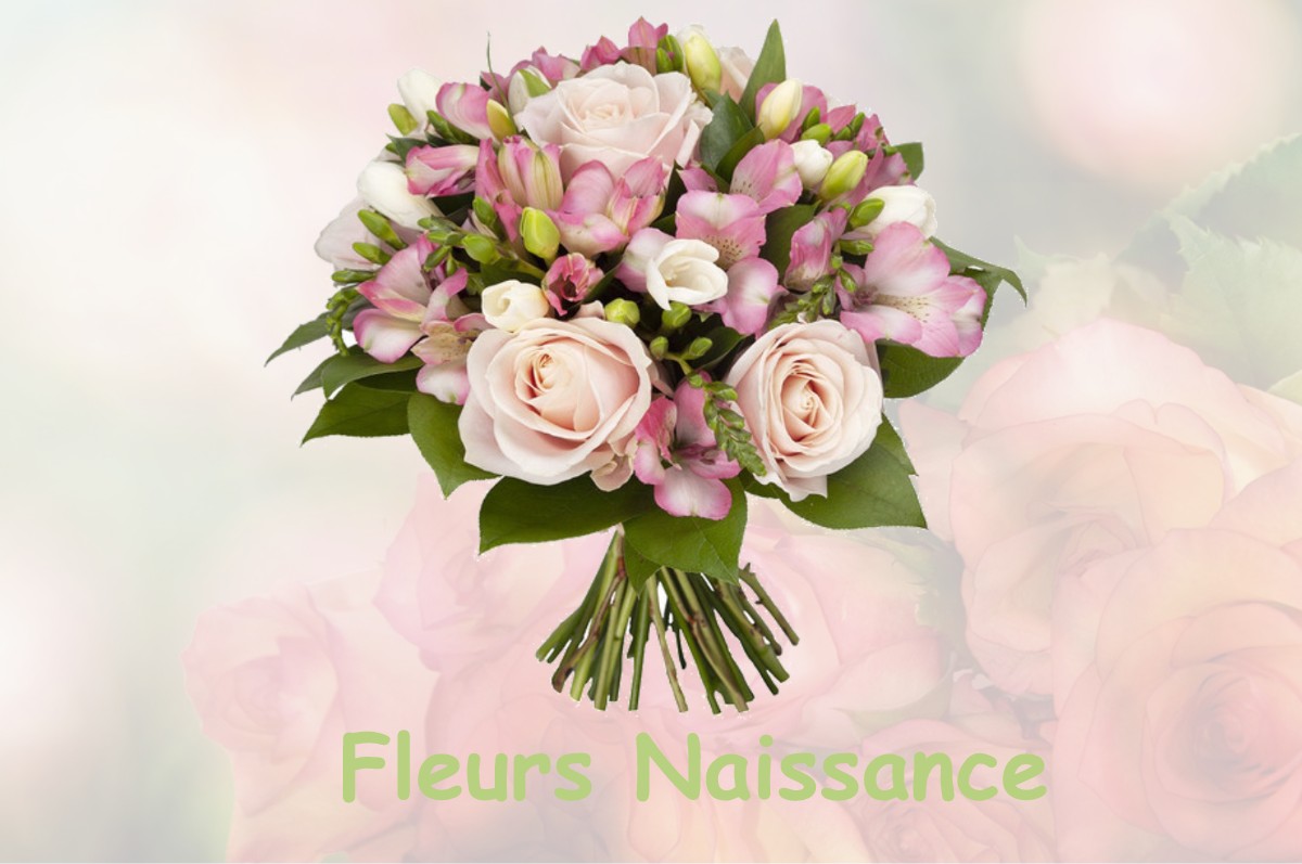 fleurs naissance NEUVY-LE-BARROIS