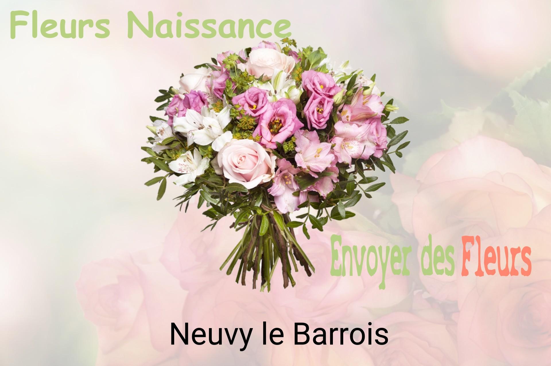 Bouquet de fleurs de naissance livré à Neuvy-le-Barrois